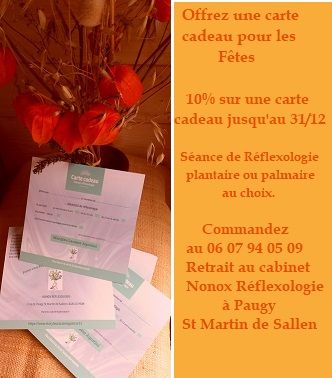 Mon actu : 10% sur carte cadeau pour les fêtes 